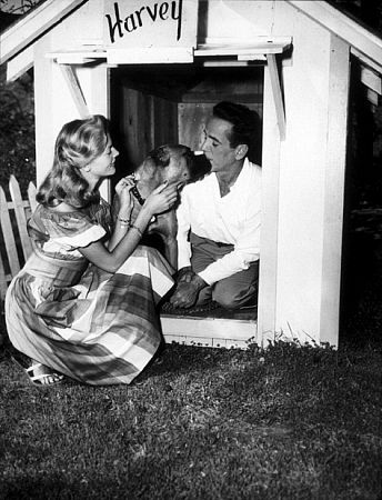 Humphrey Bogart and Lauren Bacall with their pet boxer, Harvey, at their Benedict Canyon home, CA, 1948.