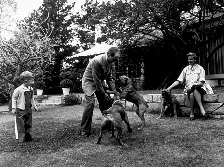Humphrey Bogart, Lauren Bacall, and their son, Stephen, with their pet boxers, Harvey, George, and Baby, at home in Los Angeles, CA, 1952.