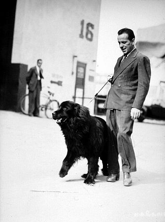 Walking his dog, 1948.