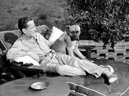 With his pet boxer, Harvey, at his Benedict Canyon home, CA, 1948.