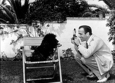 Photographing his dog, circa 1947.