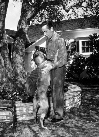 At home with his boxer, circa 1947.