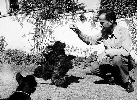 With his dogs, circa 1944.