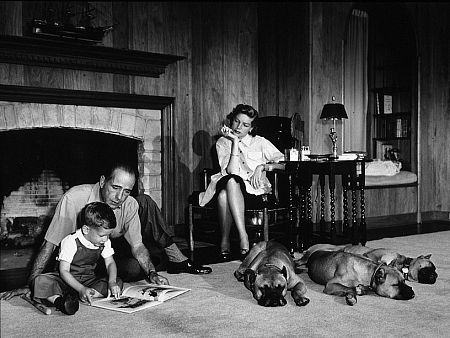 Humphrey Bogart, Lauren Bacall, and their son, Stephen, at their Beverly Hills home with their pet boxers, 1952. Modern silver gelatin, 11x14, signed. © 1978 Sid Avery MPTV