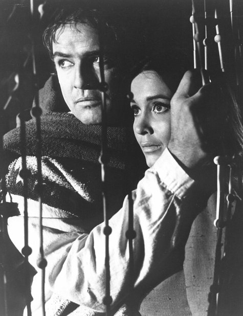 Still of Marlon Brando and Anjanette Comer in The Appaloosa (1966)