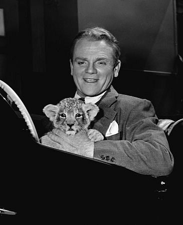 James Cagney Cagney's brother brought his pet lion for a visit on the set of 