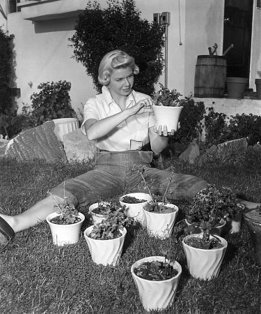Doris Day At Home 1951