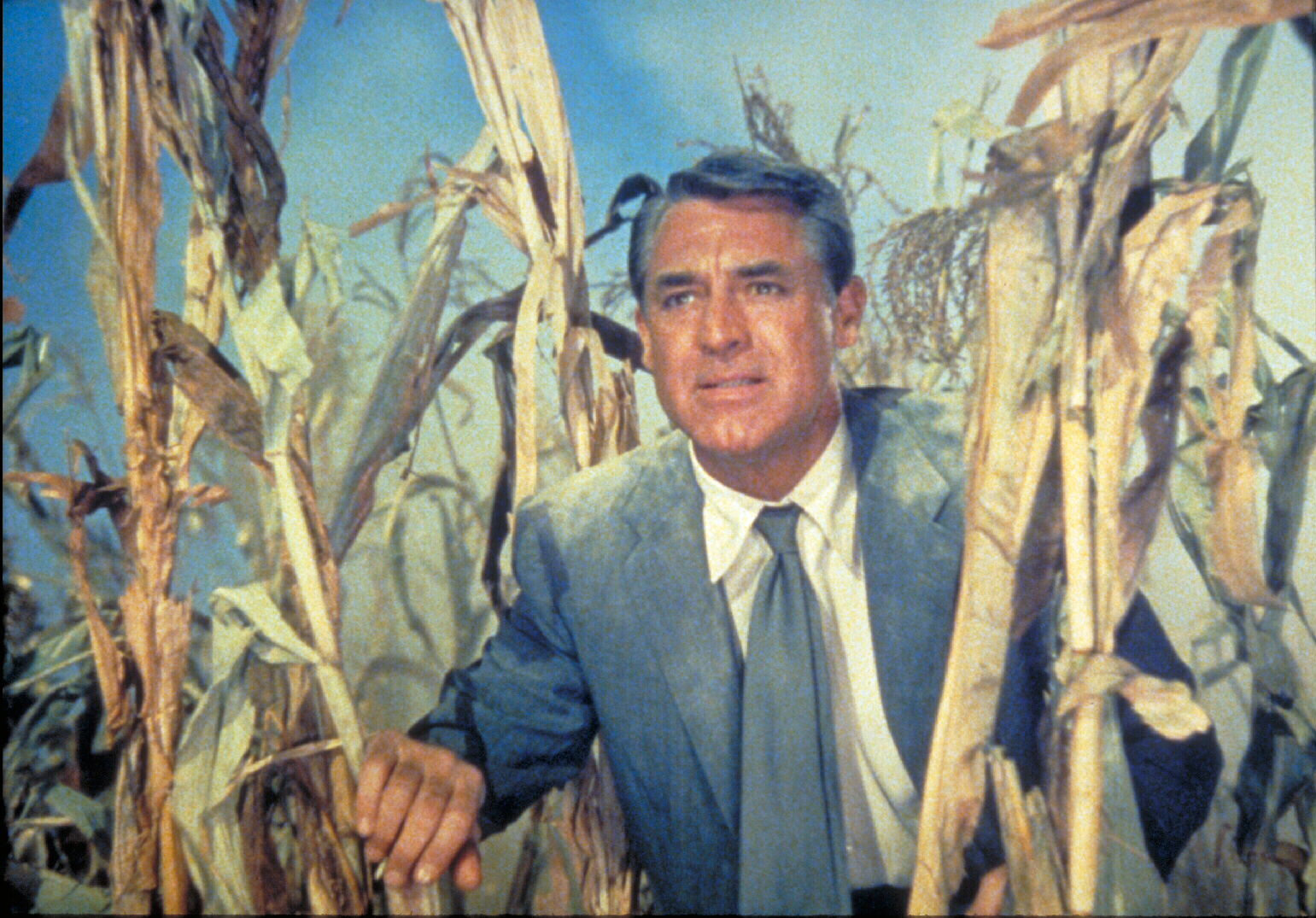 Still of Cary Grant in North by Northwest (1959)