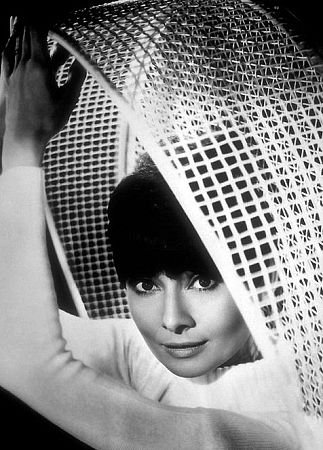 33-1139 Audrey Hepburn C. 1966