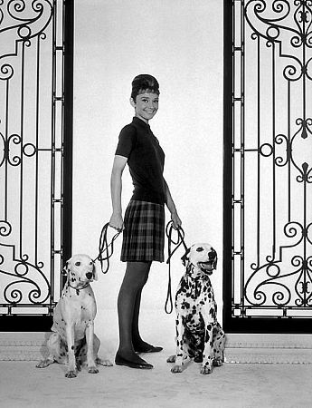 33-2306 Audrey Hepburn