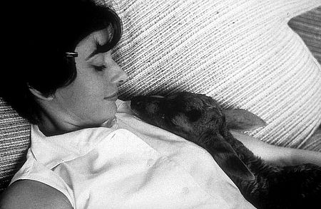 33-1116 Audrey Hepburn at home while filming 