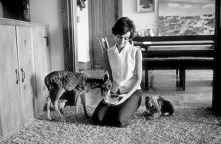 33-2315 Audrey Hepburn at home in Beverly Hills with pets 'IP' and 'Famous'