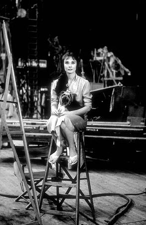 33-2343 Audrey Hepburn on the set of 