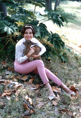 Audrey Hepburn with her pet deer 'Pippin'