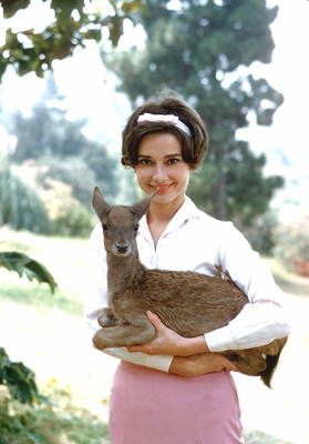 Audrey Hepburn with her pet deer 'Pippin'