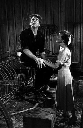 8293-1 Katharine Hepburn and Burt Lancaster in 