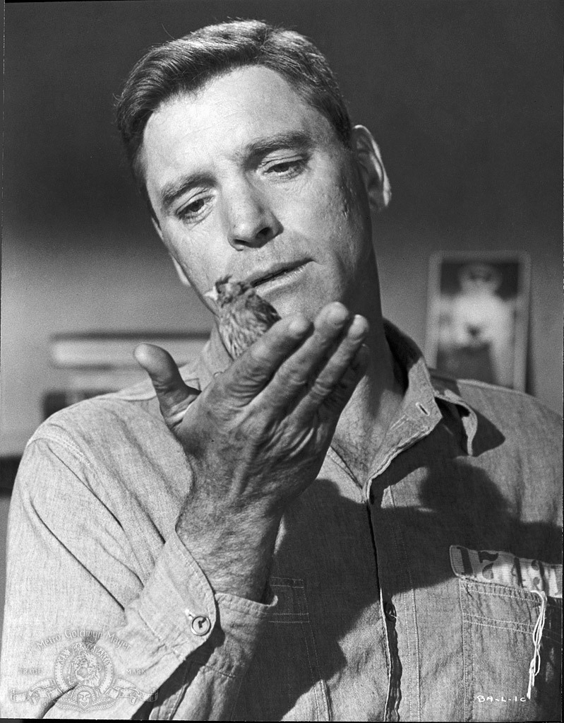Still of Burt Lancaster in Birdman of Alcatraz (1962)