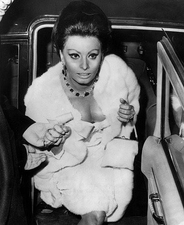 Sophia Loren at the premiere of 