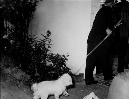 M. Monroe's dog the after her death. 8-5-62