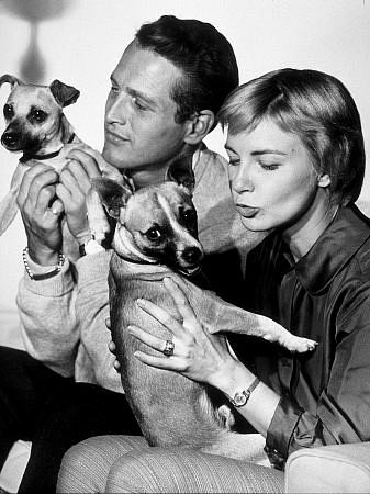 Paul Newman & Joanne Woodward, c. 1960.