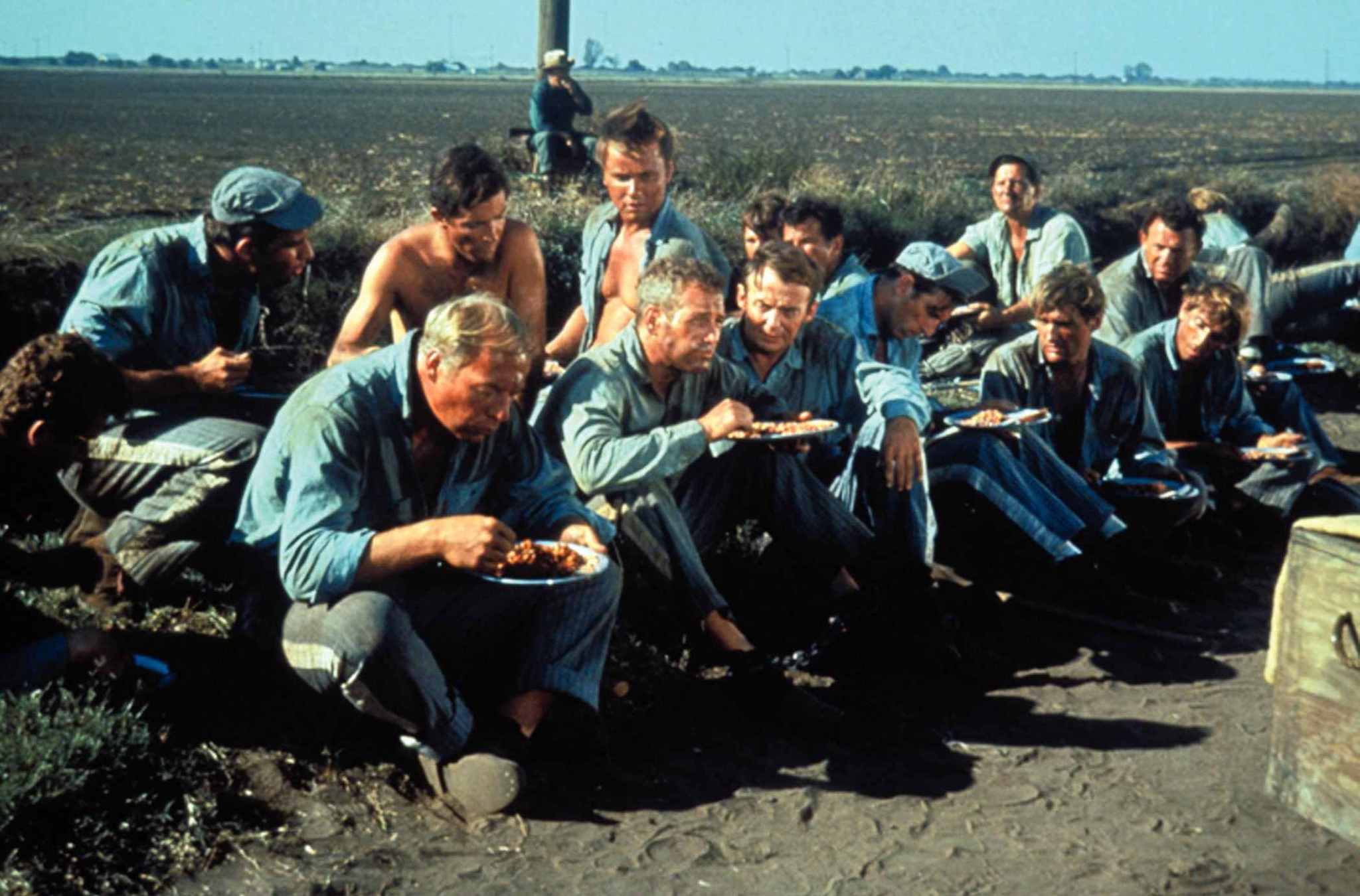 Still of Paul Newman, George Kennedy and Harry Dean Stanton in Cool Hand Luke (1967)
