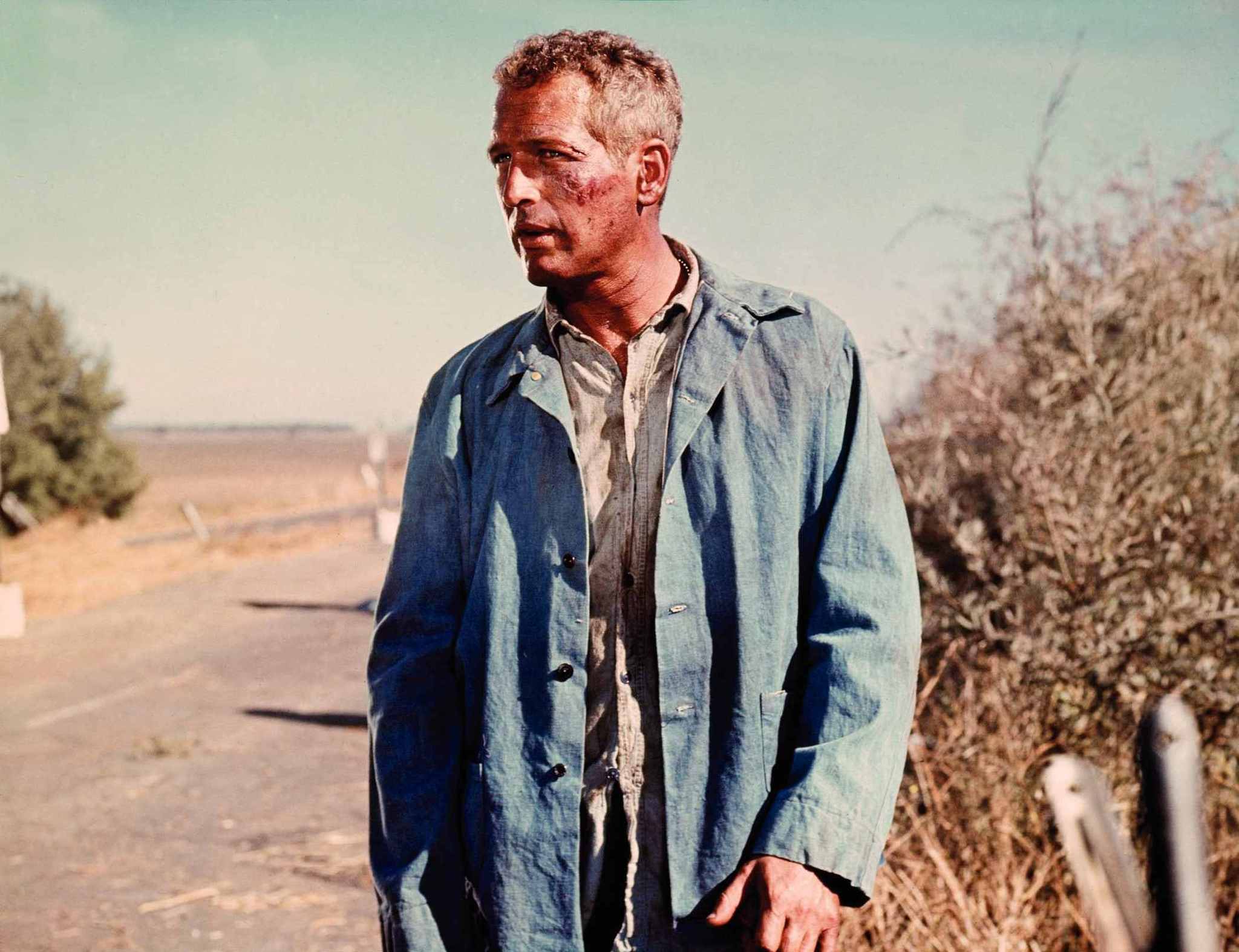 Still of Paul Newman in Cool Hand Luke (1967)