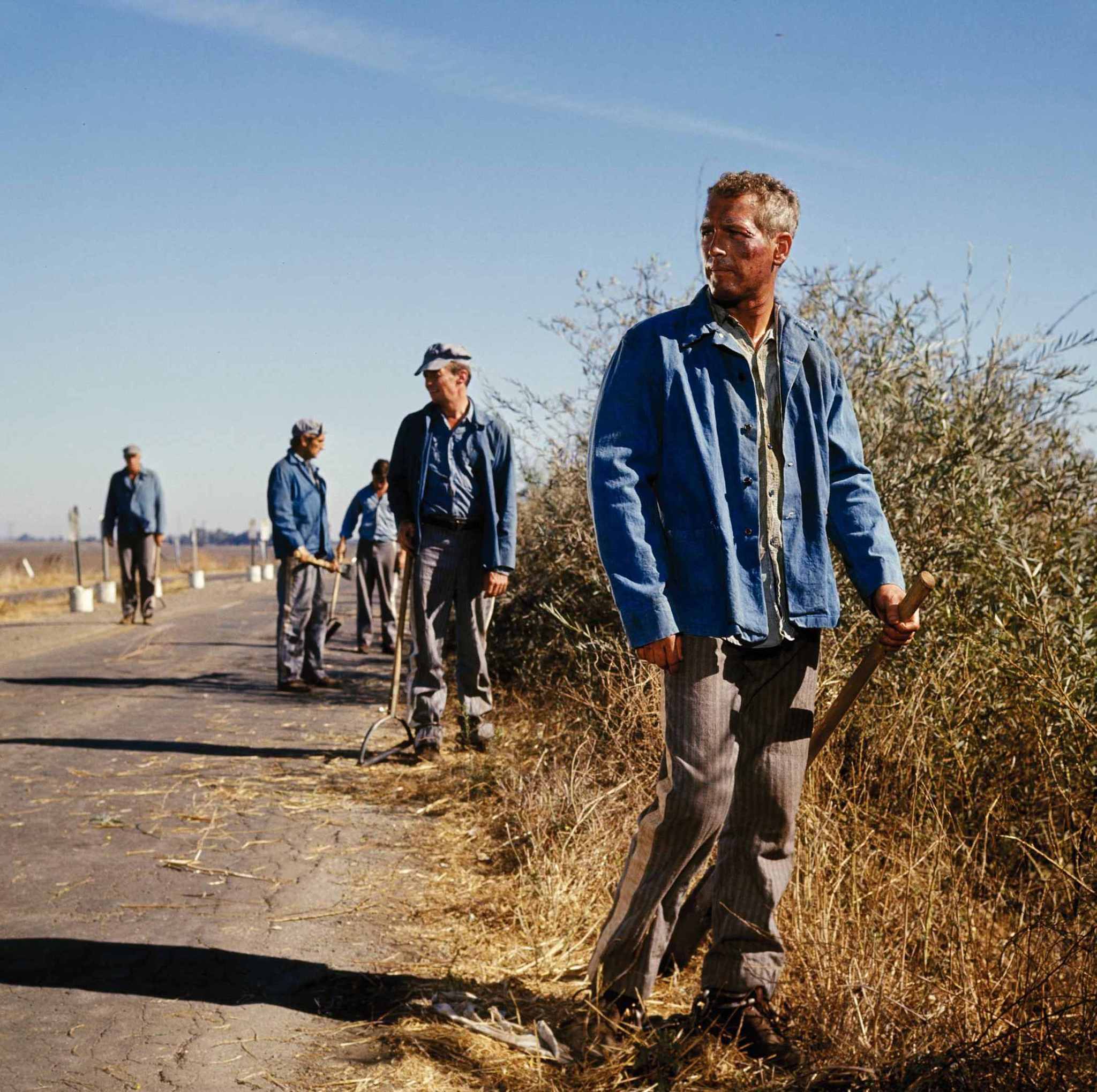 Still of Paul Newman in Cool Hand Luke (1967)