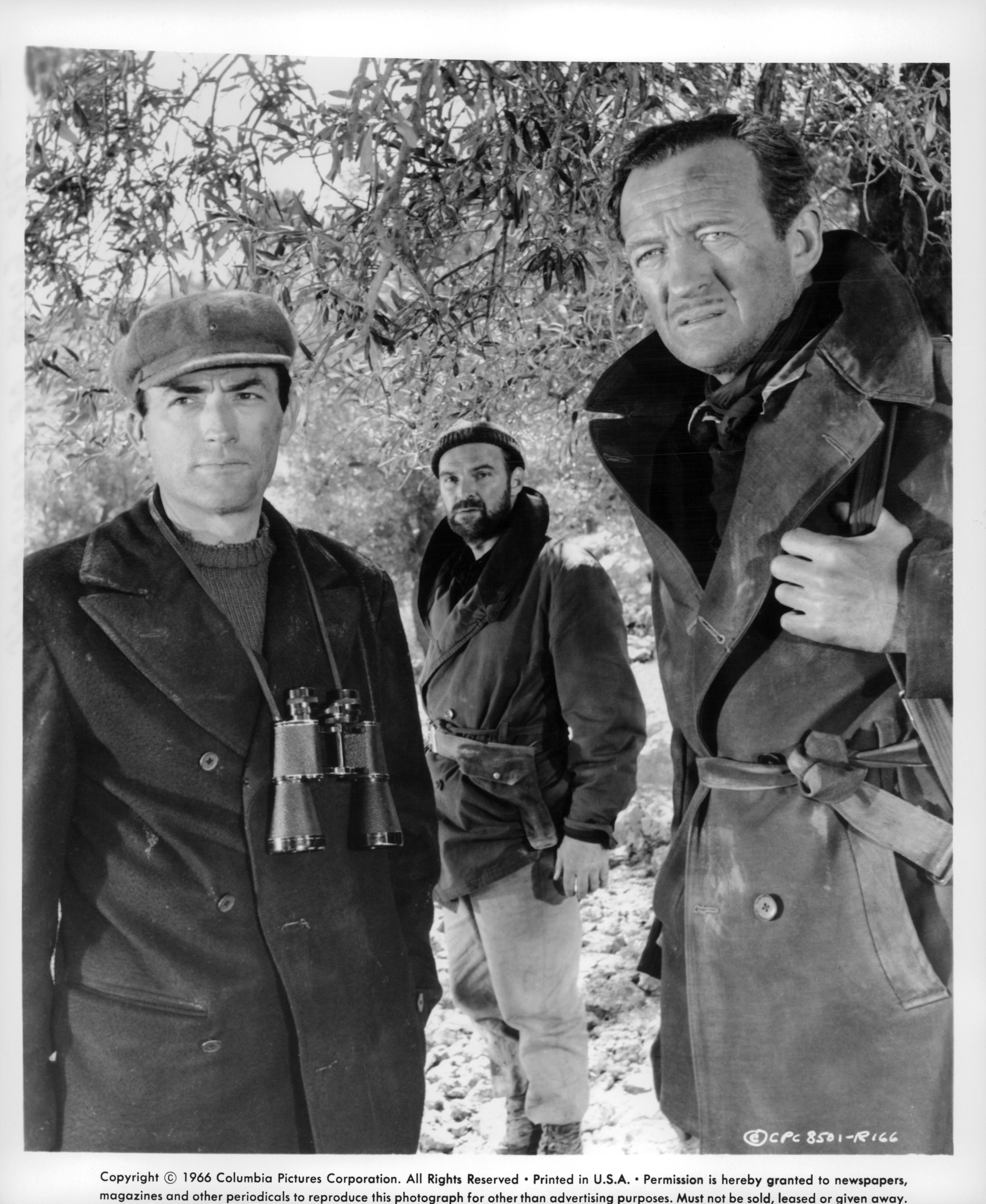Still of David Niven and Gregory Peck in The Guns of Navarone (1961)