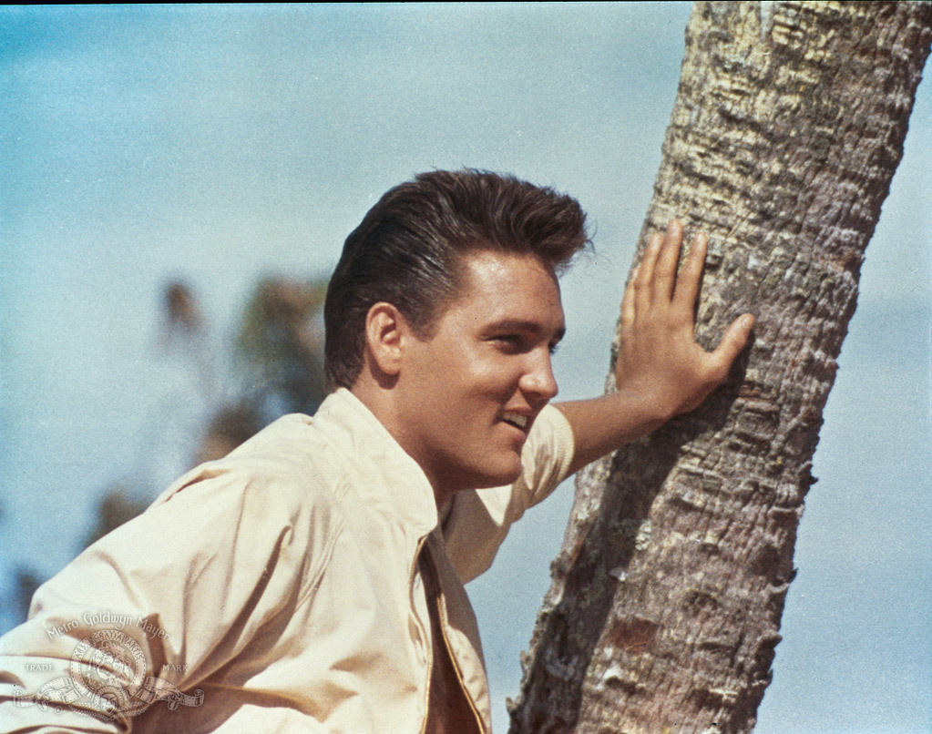 Still of Elvis Presley in Follow That Dream (1962)