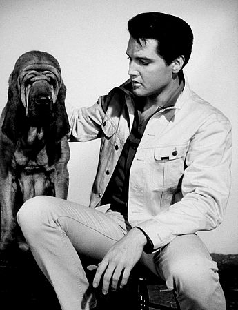 Elvis Presley in a publicity still for 