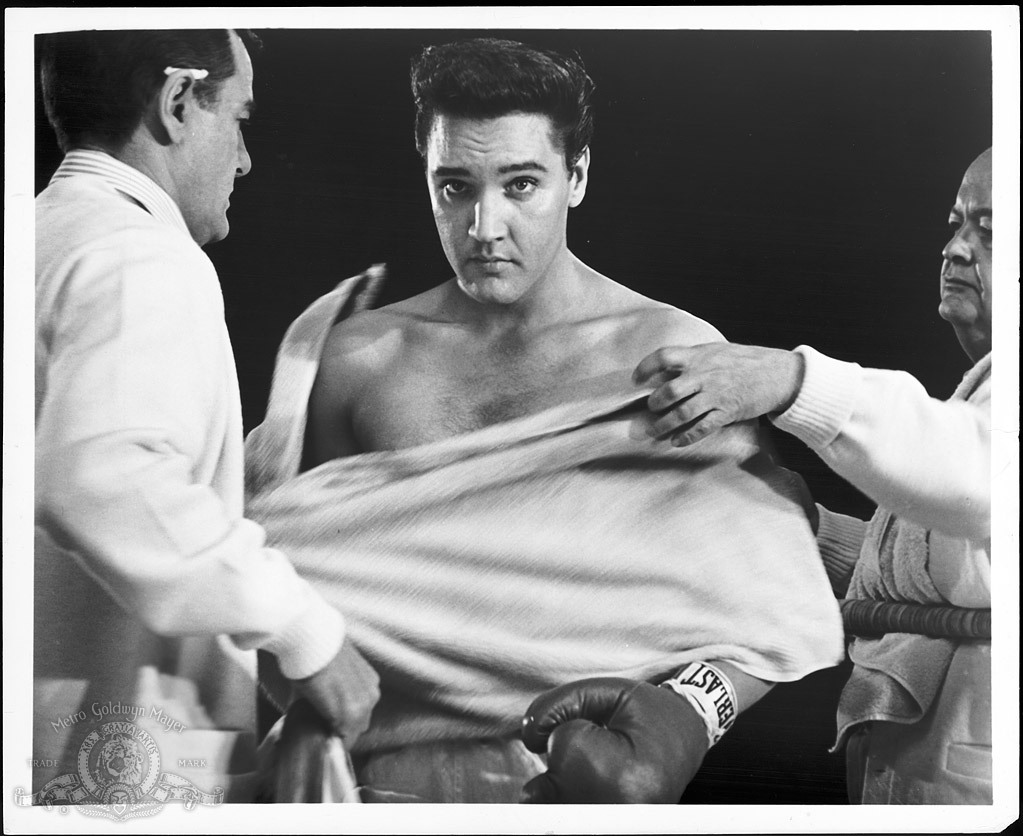 Still of Elvis Presley in Kid Galahad (1962)