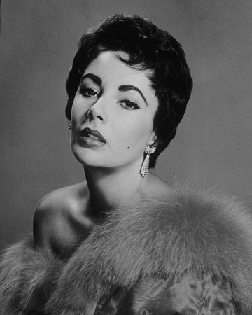 Elizabeth Taylor C. 1953