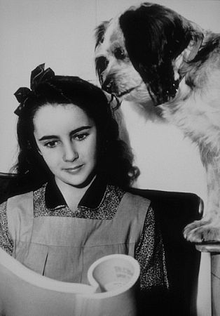 Elizabeth Taylor reading her lines between scenes for 