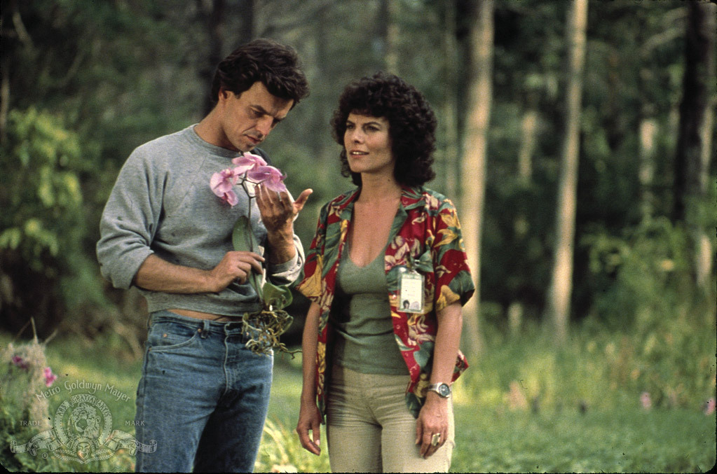 Still of Adrienne Barbeau and Ray Wise in Swamp Thing (1982)