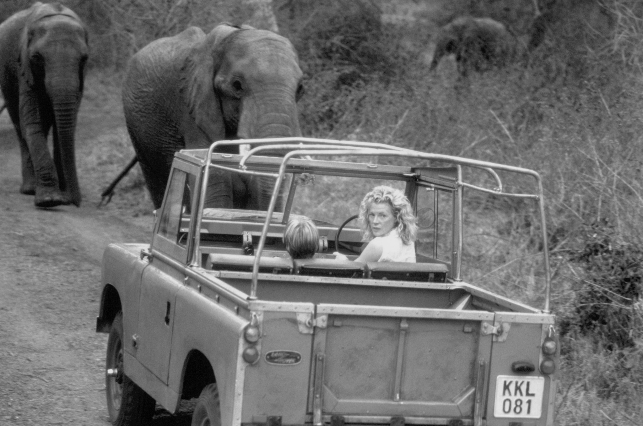 Still of Kim Basinger in I Dreamed of Africa (2000)