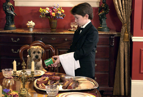 Still of Matthew Broderick and Liam Aiken in Good Boy! (2003)