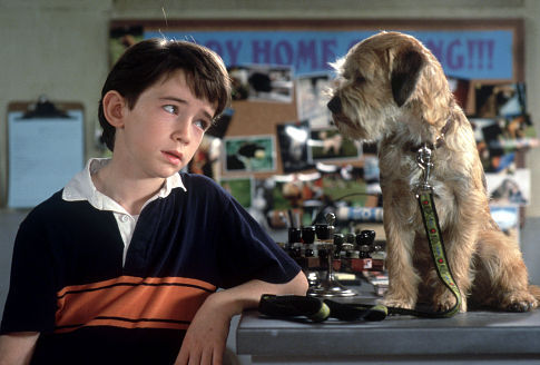 Still of Matthew Broderick and Liam Aiken in Good Boy! (2003)