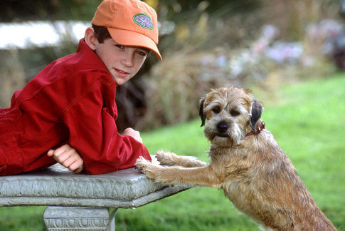 Matthew Broderick and Liam Aiken in Good Boy! (2003)