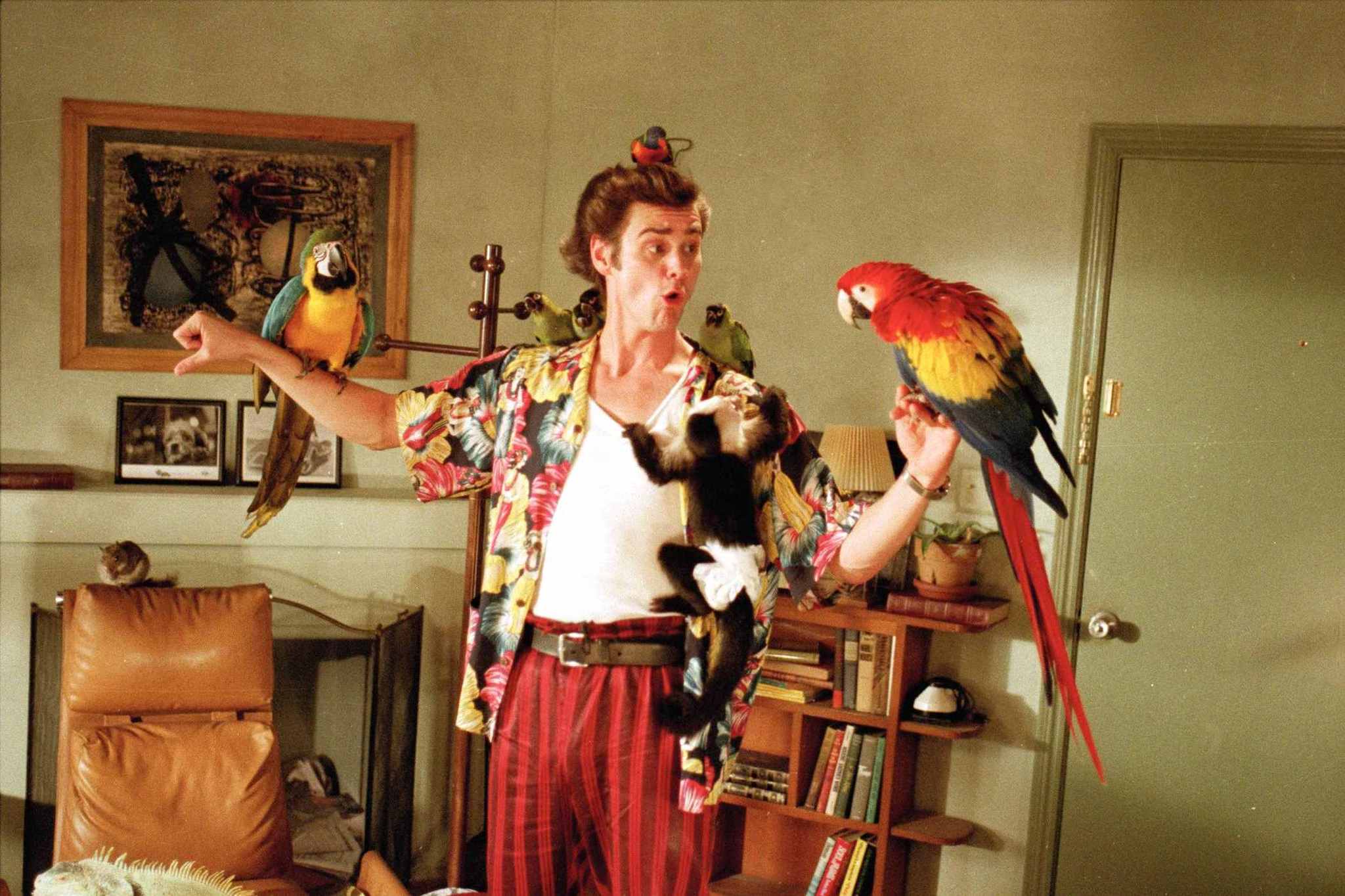 Still of Jim Carrey in Ace Ventura: Pet Detective (1994)