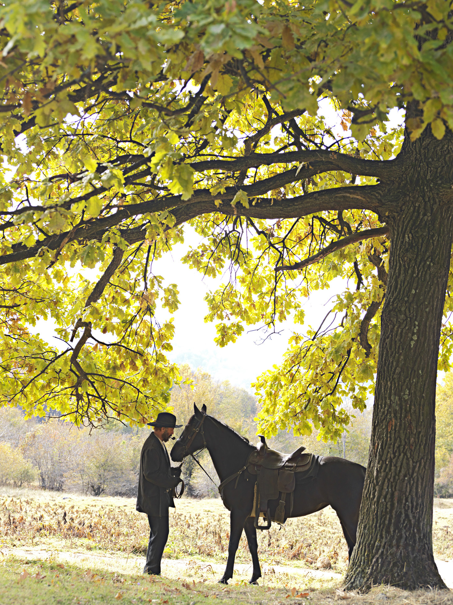 Still of Kevin Costner in Hatfields & McCoys (2012)