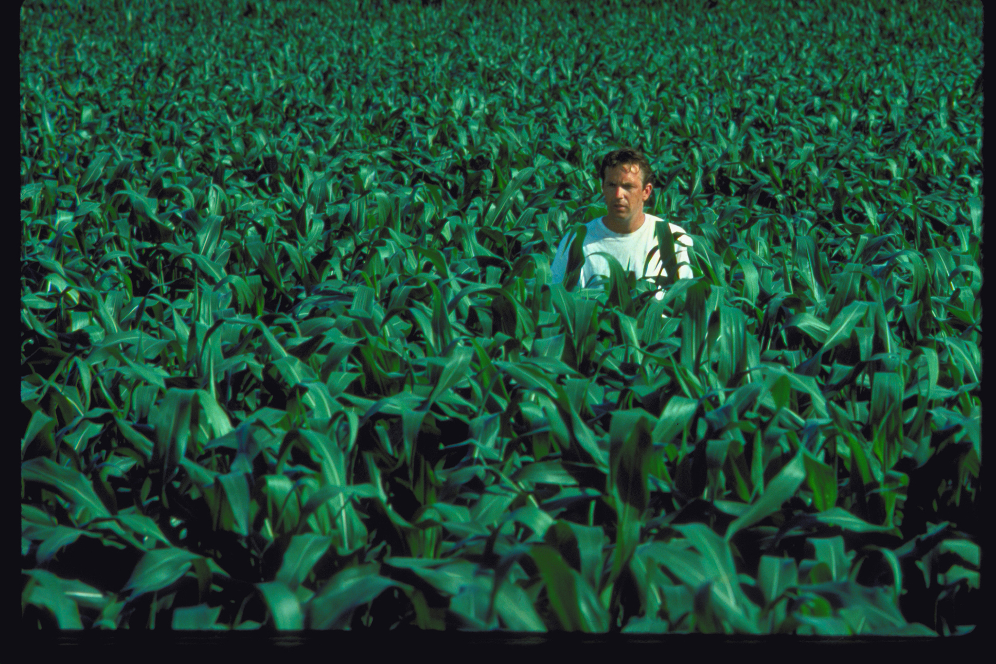 Still of Kevin Costner in Field of Dreams (1989)