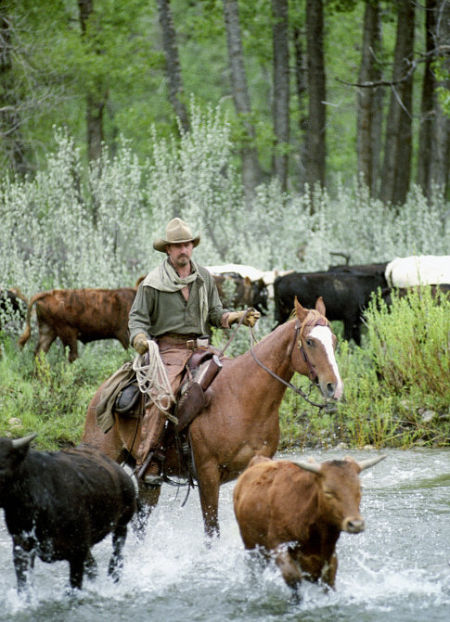 Still of Kevin Costner in Open Range (2003)