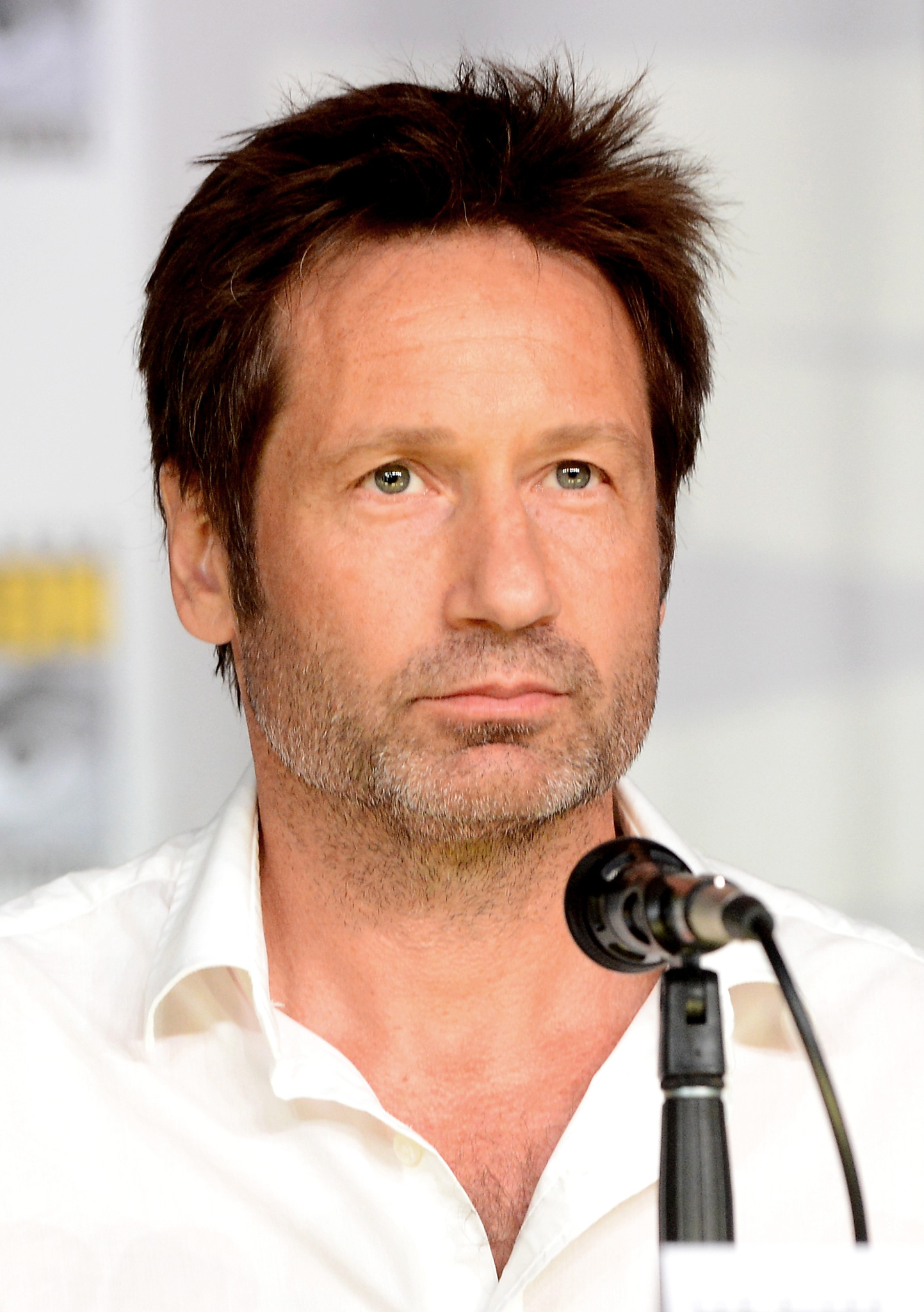 David Duchovny at event of X failai (1993)