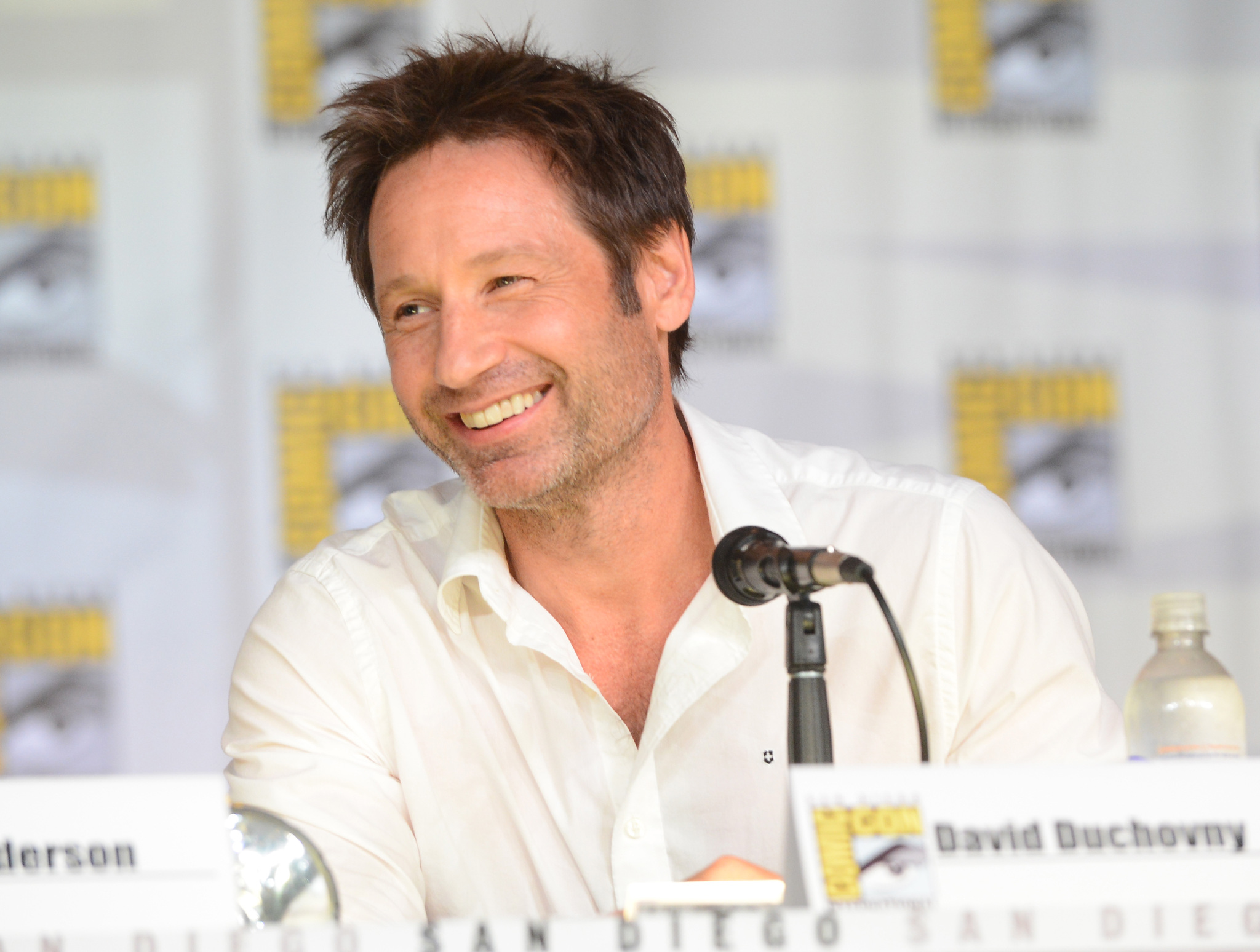 David Duchovny at event of X failai (1993)