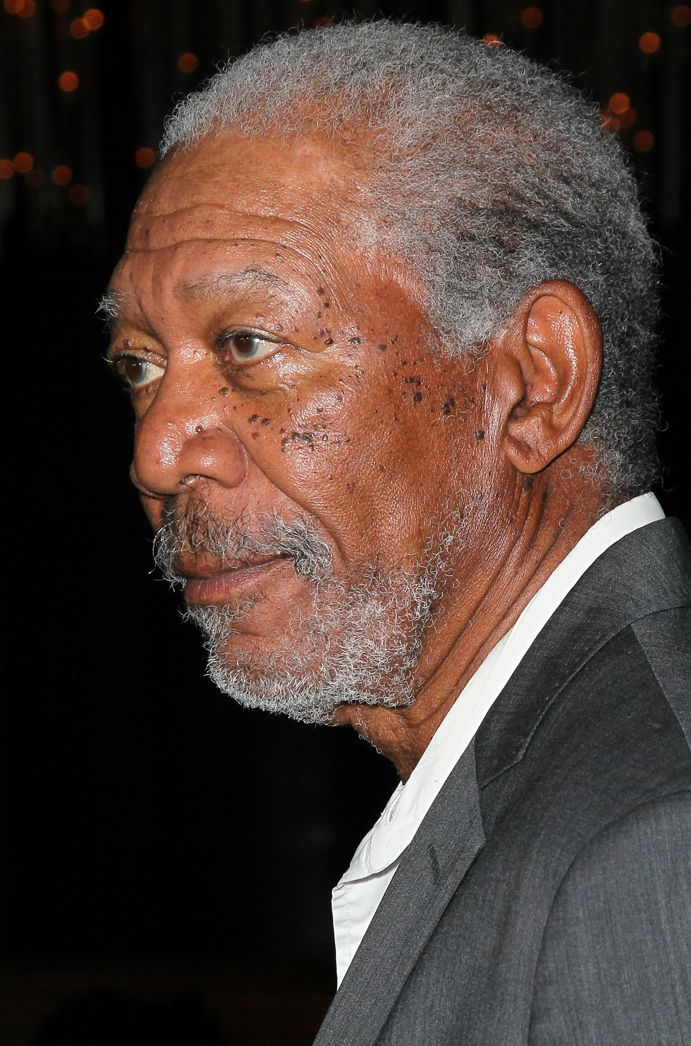 Morgan Freeman at event of The Magic of Belle Isle (2012)