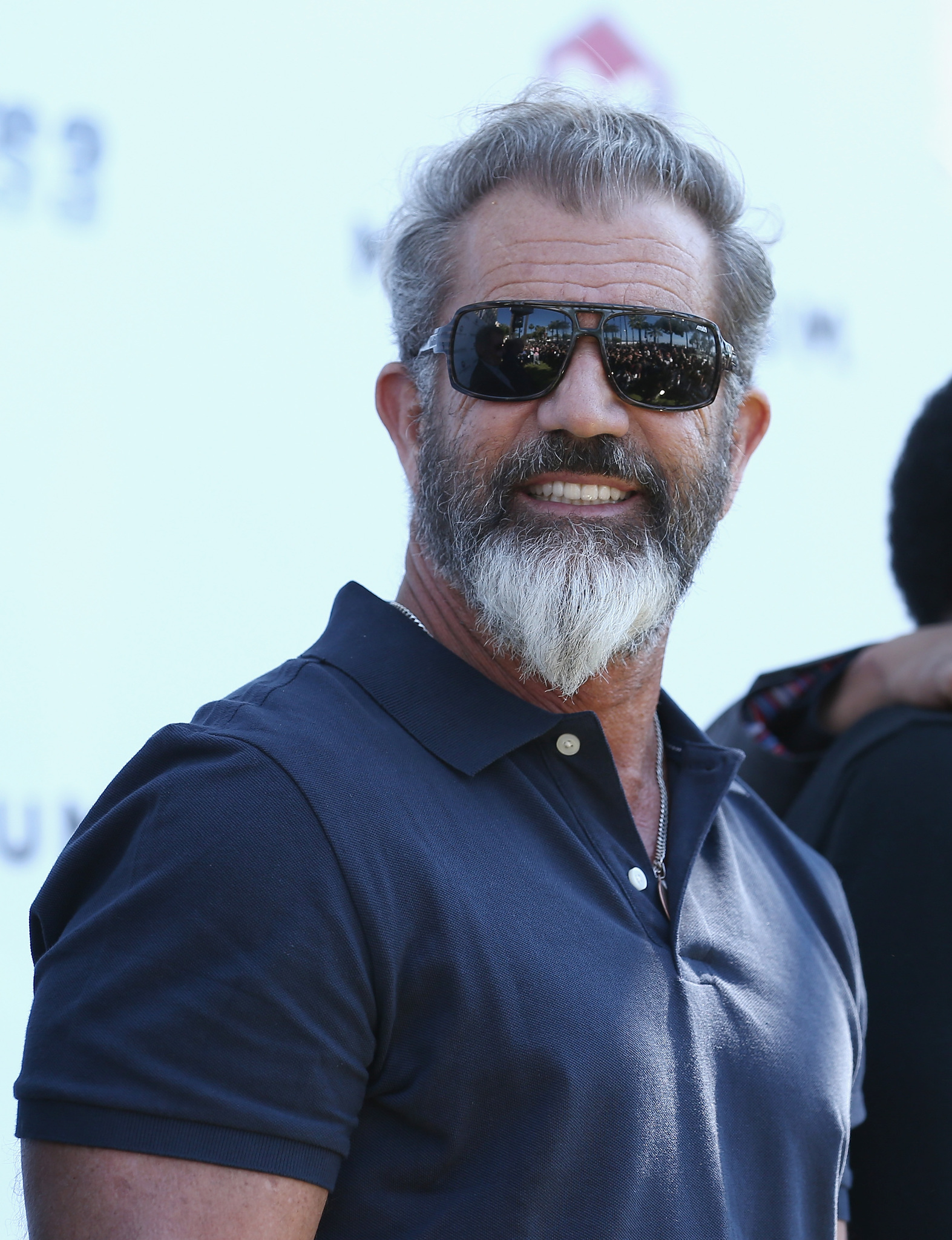 Mel Gibson at event of Nesunaikinami 3 (2014)