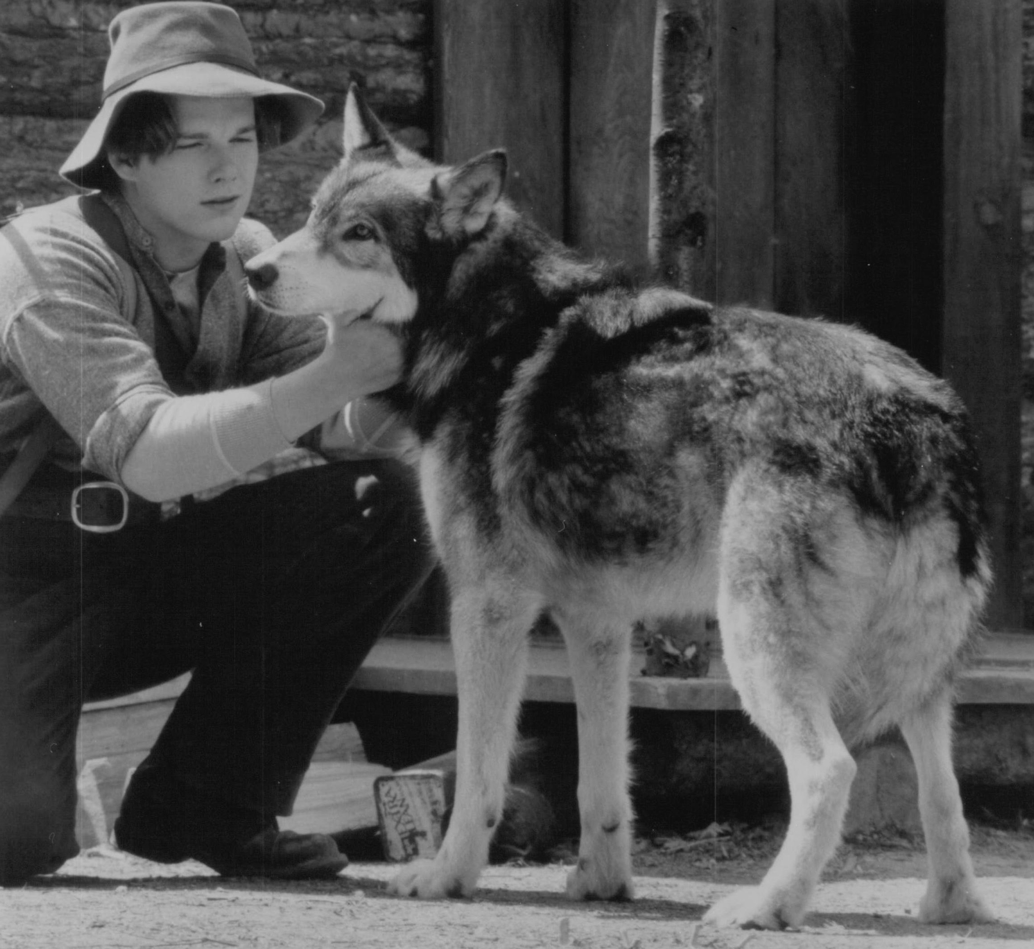 Still of Ethan Hawke in White Fang (1991)