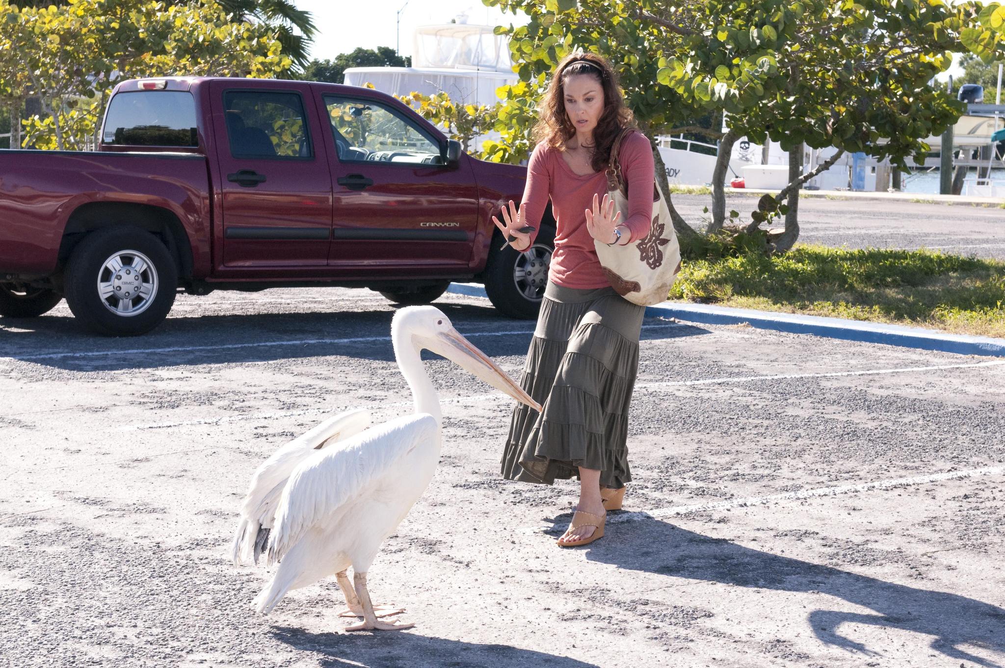 Still of Ashley Judd in Dolphin Tale (2011)