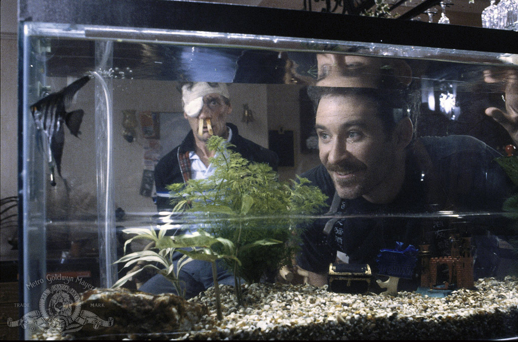 Still of Kevin Kline and Michael Palin in A Fish Called Wanda (1988)