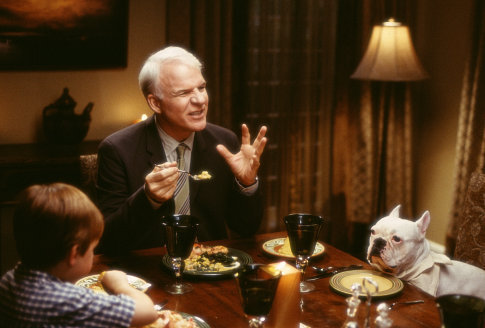 Still of Steve Martin in Bringing Down the House (2003)